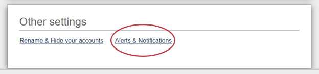 The Alerts & Notifications Link Circled